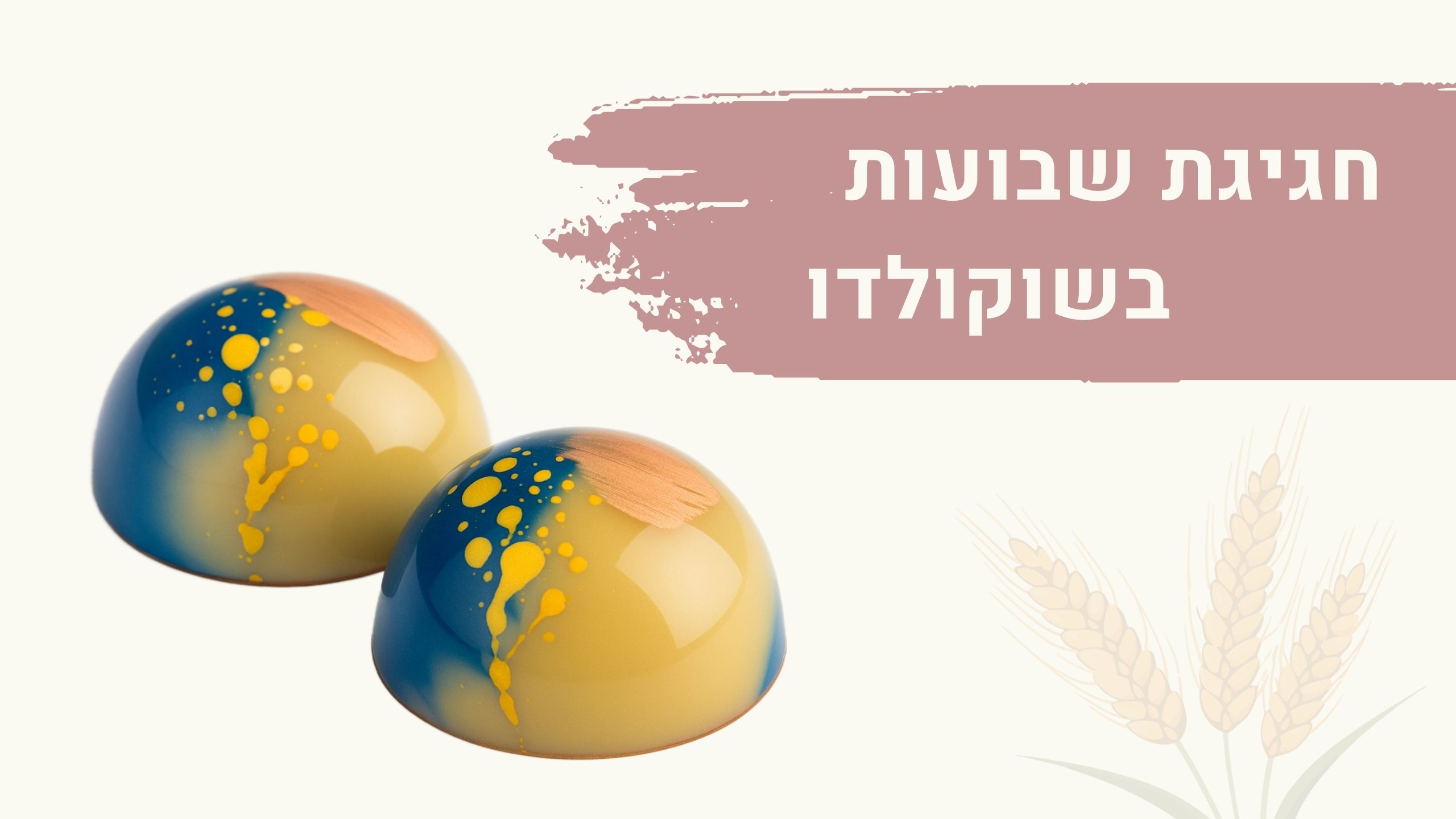 חגיגת שבועות בשוקולדו